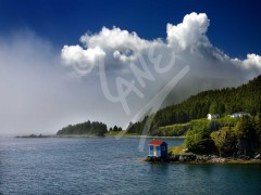 Harry's Harbour